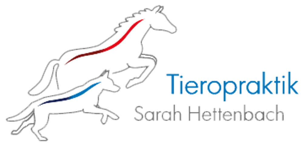Umriss eines springenden Pferdes mit rotem Rückenstrich und eines Hundes mit blauem Rückenstrich, daneben "Tieropraktik Sarah Hettenbach".