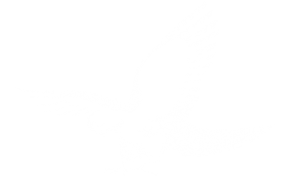 Logo adler