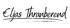 White cursive text "Eljas Thranberend" on a dark green background with an underscore.