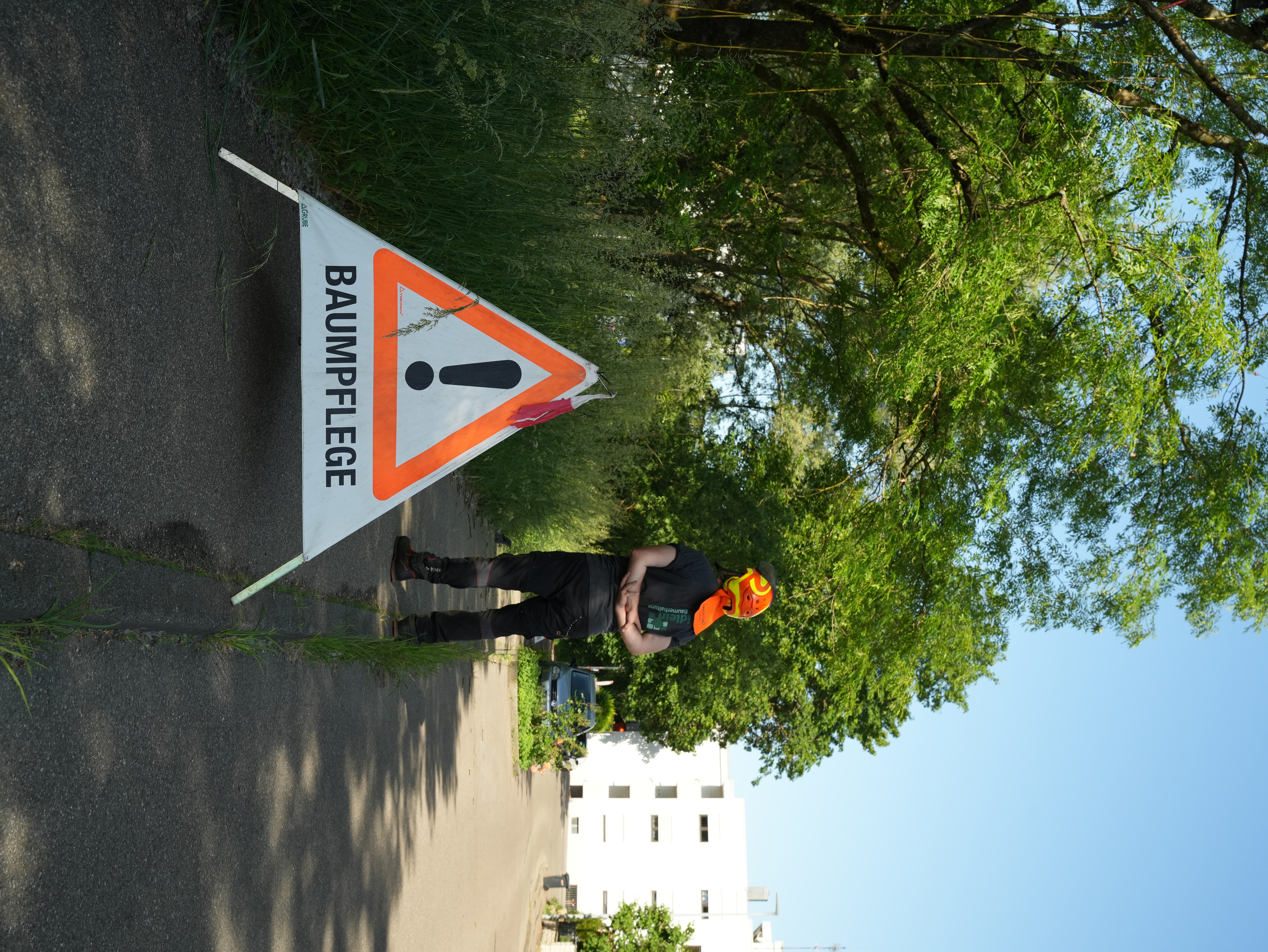 Baumpfleger von Neidlein bei der Arbeit in der Baumkrone