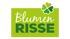 Blumen Risse