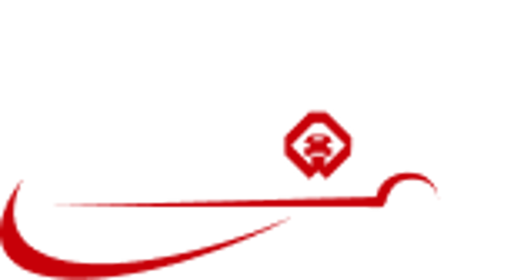Weiß-rotes Logo mit stilisiertem LKW-Umriss und dem Wort „SCHMIDT“ in der Mitte.