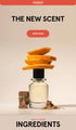 Parfümflasche mit Orangenschalen, Holzstücken und Spänen. Text: THE NEW SCENT, SHOP NOW, INGREDIENTS.