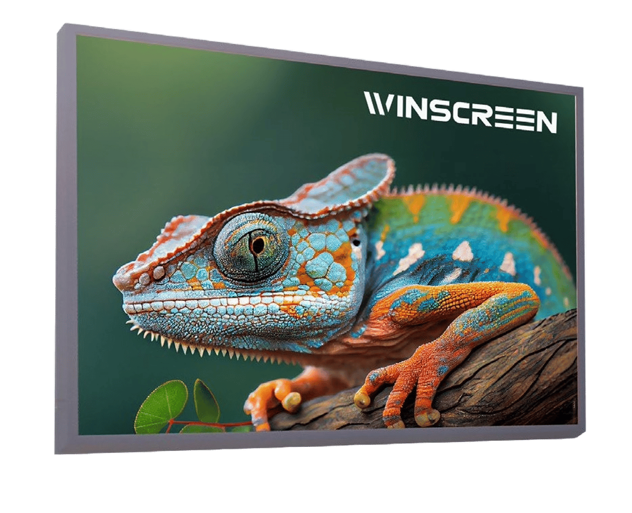 WinScreen® WALL