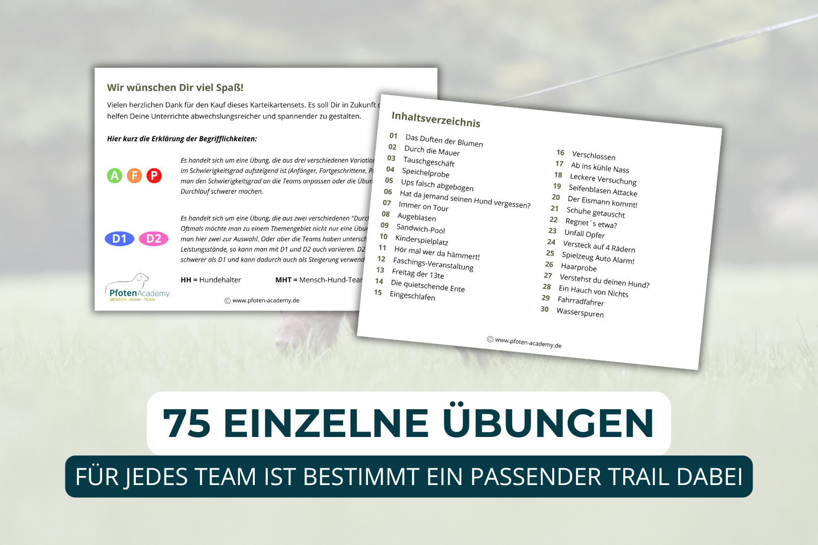 Übungskonzept Mantrailing – Bild 4
