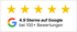 4,9 Sterne auf Google bei über 100 Bewertungen, mit fünf goldenen Sternen und Google-Logo.