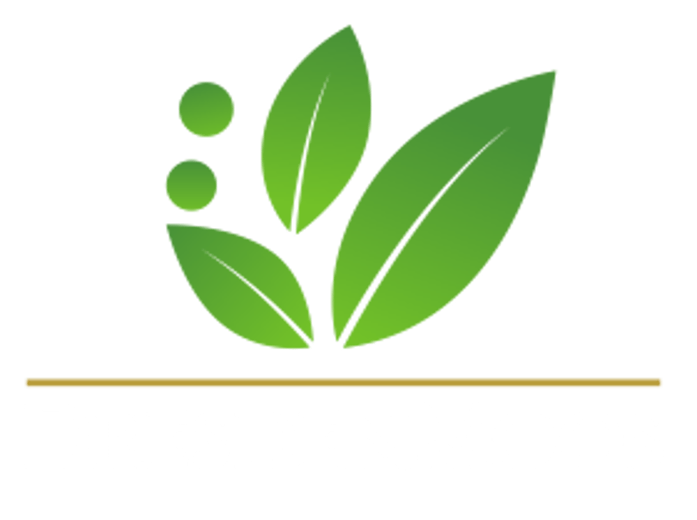 Dresden Moos Logo