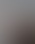 Zwei Männer sitzen an einem Holztisch, einer zeigt auf einen Laptop, der andere schaut zu.