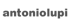 Antonioni Lupo-Logo mit grauem Text auf dunkelgrünem Hintergrund.