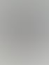 Igel – Grau
