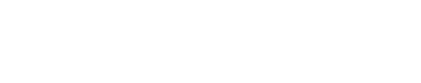 Top Leader Academy®