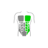 Grüne Hervorhebung der rechten Brust- und Bauchmuskeln auf einem menschlichen Oberkörper-Umriss.