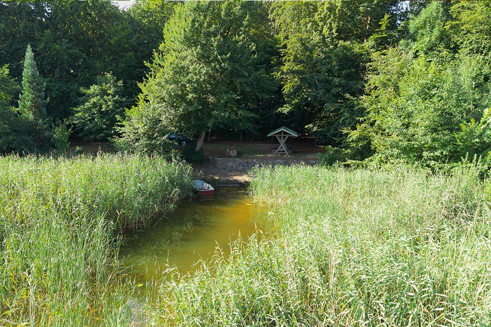 Uferbereich am Haussee
