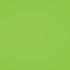 NETELLER-Logo auf grünem Hintergrund.