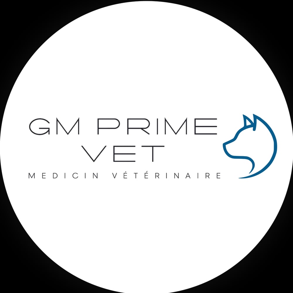 GM Prime Vet logo with a blue outline of a dog's head and "MEDICIN VÉTÉRINAIRE" below.