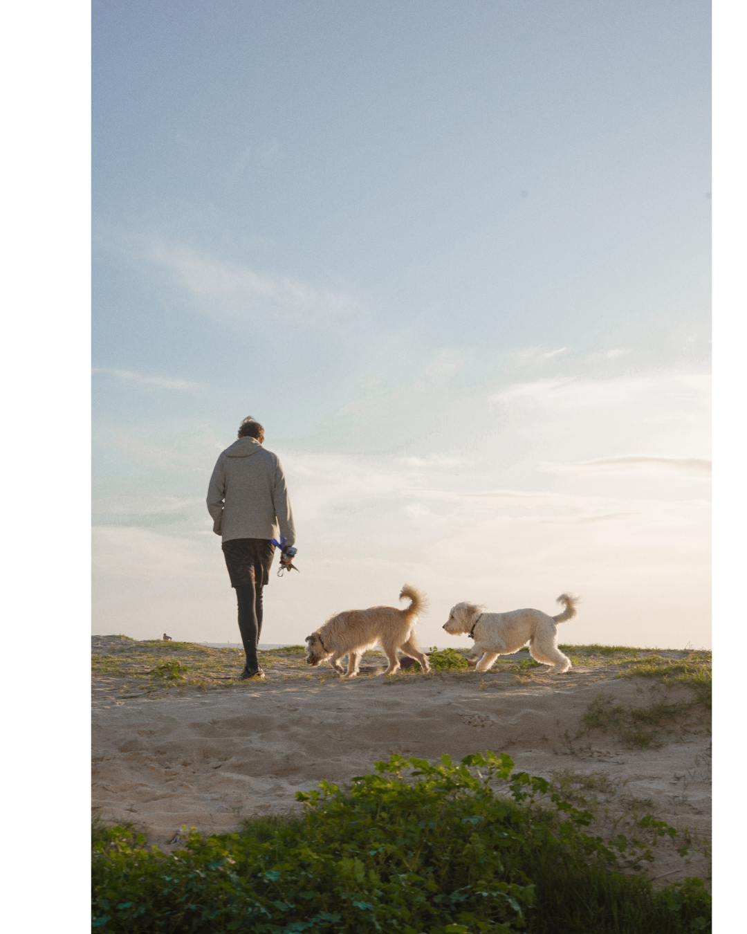 Entspannter Hundebesitzer.png