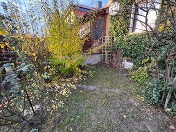 Garten an der Hausseite mit Sträuchern, Rankgitter und Kellerfenstern