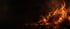 Elektrischer Kamin mit flackernden Flammen und Holzscheiten in einem dunklen Raum.