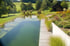 Ein Schwimmteich mit Holzsteg, Uferbepflanzung und Gartenlandschaft vor einer grünen Hügelkulisse mit Holzscheune.