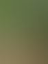 Frau in schwarzer Yogakleidung macht Vorwärtsbeuge auf einem Steinpfad, umgeben von üppiger grüner Vegetation.