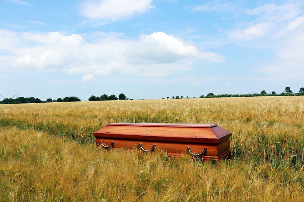 Heller Holzsarg in einem goldenen Kornfeld unter blauem Himmel – naturnaher, würdevoller Abschied