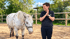 Wahrnehmungsübung mit Pferd im Coaching