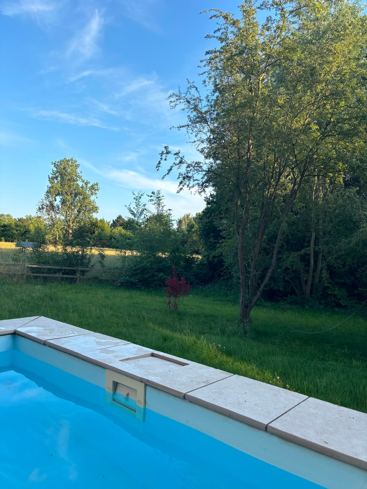 Pool mit Blick in den Naturgarten