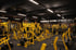Großer Fitnessraum mit gelben Krafttrainingsgeräten und schwarzen Wänden; "TEMPLE GYM DRESDEN" und "WWW.T-GYM.DE" an der Wand.