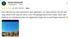 Google-Rezension von niclas simsons51 mit 5 Sternen, Text und einem Foto von Bäumen unter blauem Himmel.
