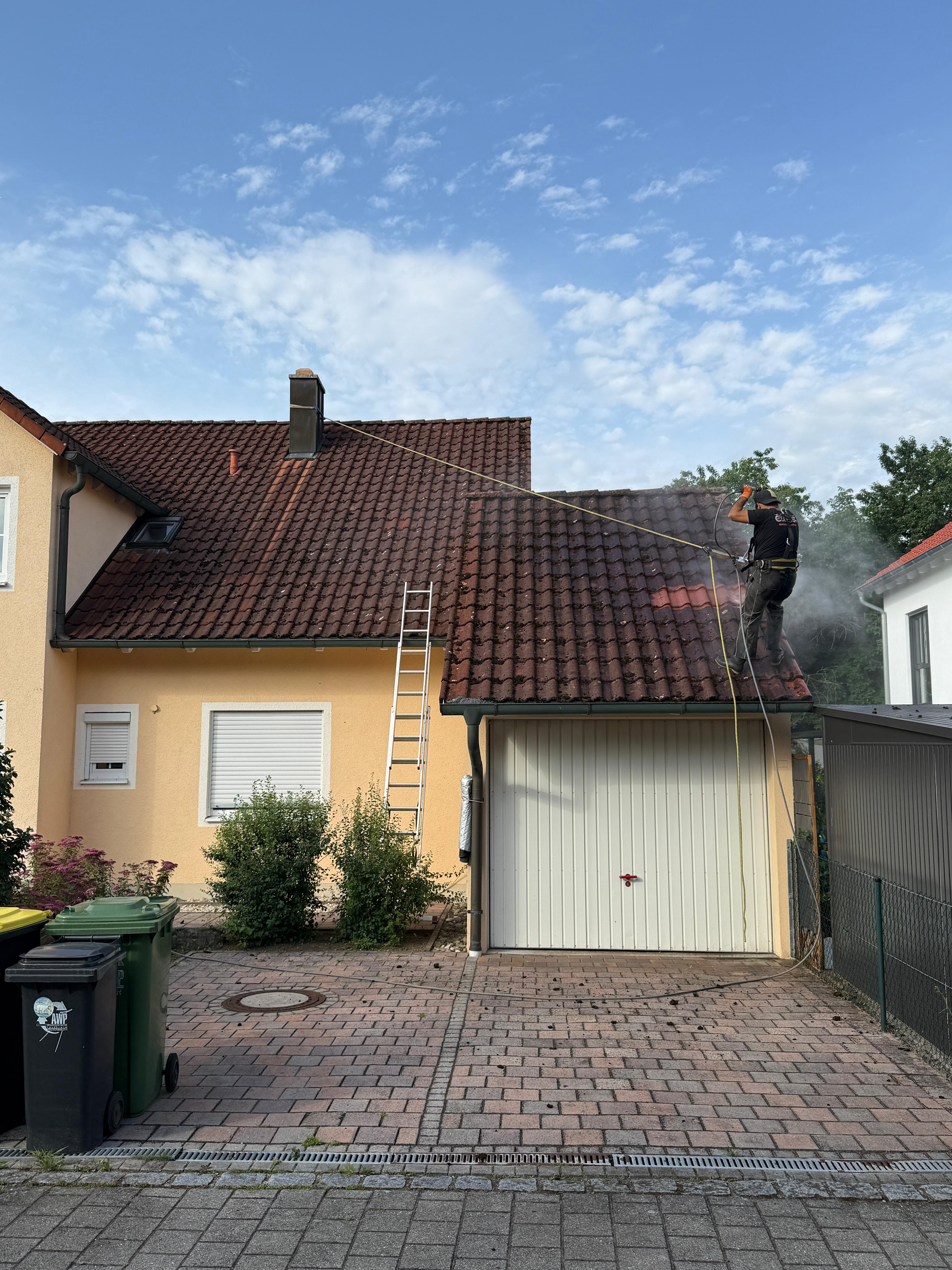 Dach vorher