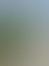 Heckenschnitt in Zürich und Umgebung | Botanica Greiner