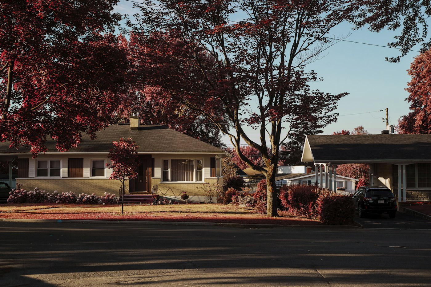 Single-family home with a pitched shingle roof on a suburban street