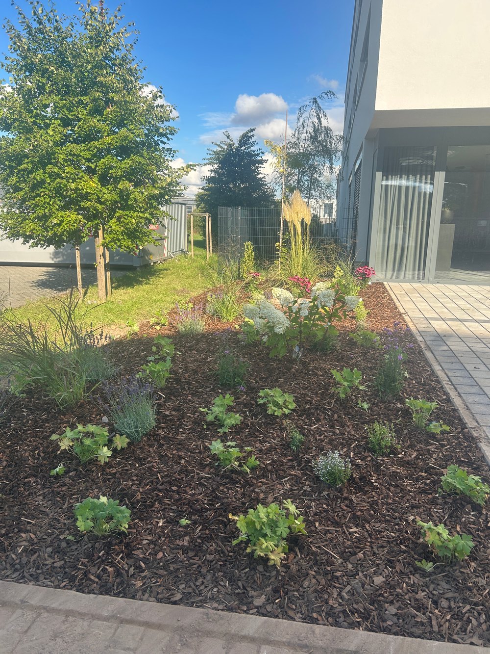 Neu angelegtes Beet mit Rindenmulch vor dem Neubau