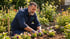Ein lächelnder Gärtner mit Bart pflanzt bunte Stiefmütterchen in ein sonniges Gartenbeet.