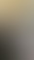 Susanne Jester telefoniert am Schreibtisch vor einem Computerbildschirm in einem Büro.