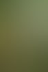 Mann mit Bart schneidet eine grüne Hecke mit einer motorisierten Heckenschere im Garten.
