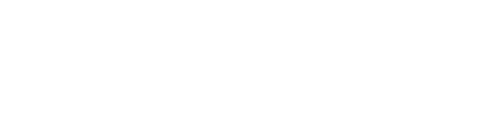 Logo mit Häkchensymbol und dem Text "Solutions Webdesign • Digital Marketing".