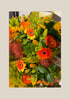 Transition to Autumn