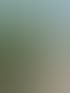Heckenschnitt in Zürich und Umgebung | Botanica Greiner