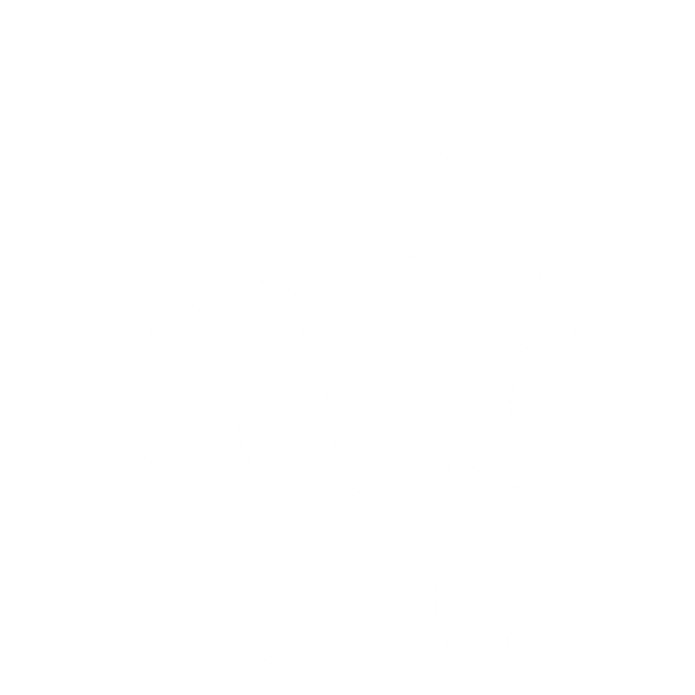 Weißer Umriss einer Mutter, die ein Baby küsst, umgeben von einem Kreis, darunter „TraumaFrei verbunden“.