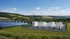 Weiße Container für Energiespeicher oder Batterien vor einem Wald unter blauem Himmel.
