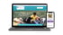 Website für Mehrhundehaltung