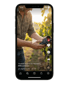 Ein iPhone zeigt ein Video, in dem ein Winzer im Weinberg eine Traube hält. Text: "Qualität beginnt im Weinberg. #Winzerleben".