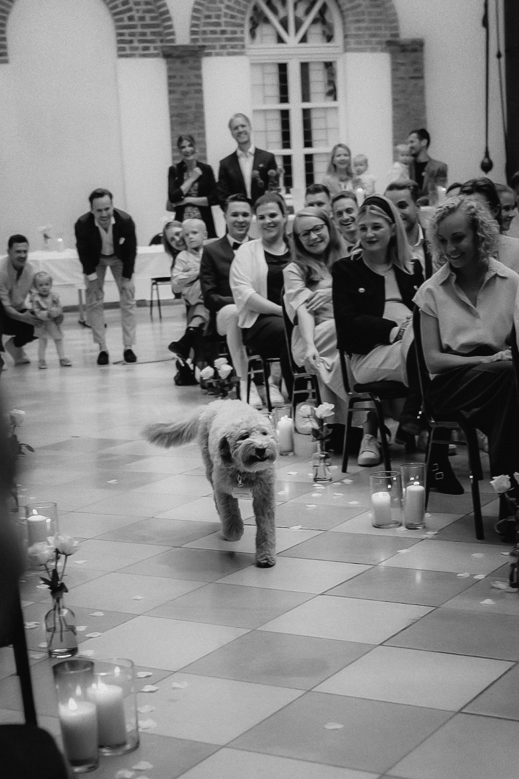 Ein Hund läuft bei der Trauung auf Schloss Bedburg durch den Mittelgang zwischen den Gästen.