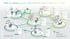 Ein Organigramm zeigt verschiedene Rollen im digitalen Lernen in der Versicherungswirtschaft, verbunden durch grüne Pfeile und umgeben von Textboxen.