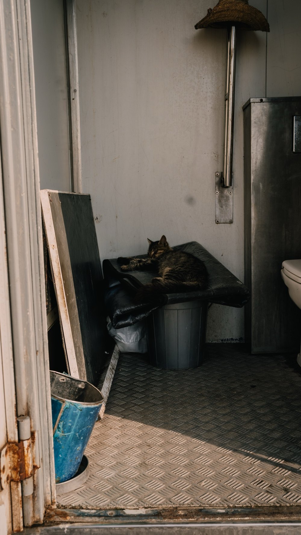 Katze schläft in einer offenen Hütte am Hafen