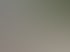 Neu gepflasterte Hauseinfahrt mit grauen Rechtecksteinen neben einer weißen Hauswand und angrenzender Grünfläche.