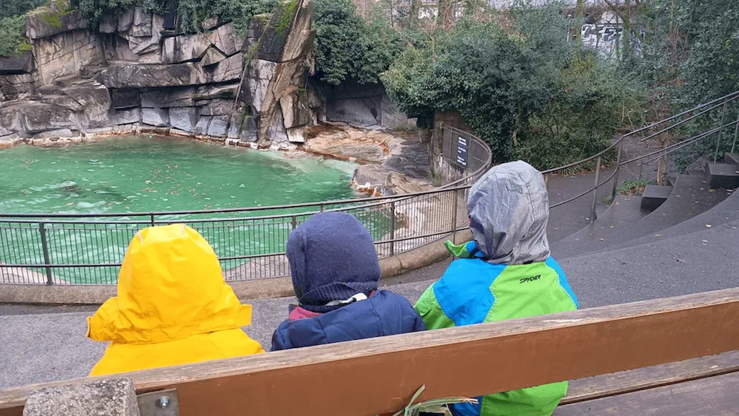Ausflug der Kita-Gruppe in den Zoo Basel