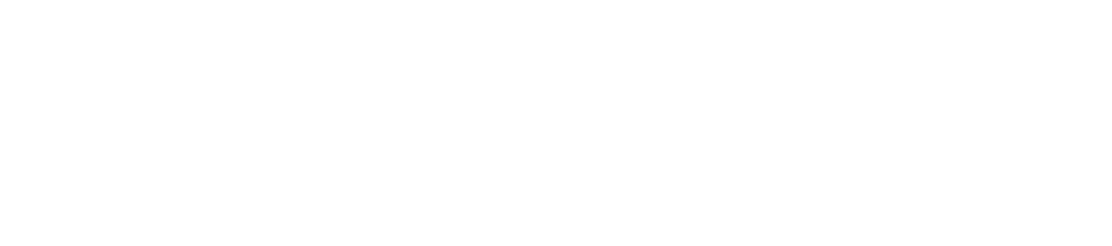 Weißer Text "blynq" auf dunkelgrünem Hintergrund.