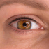 Nahaufnahme eines geöffneten braunen Auges mit sichtbaren Wimpern und Augenbrauen.